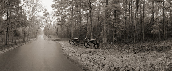 Cannon at Chickamauga