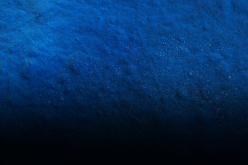 Texture background of sprayed wall