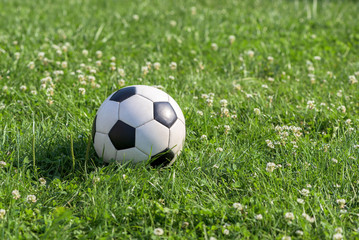 Soccer ball on the grass in garden