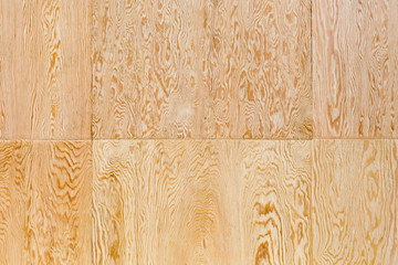 Natural Wood Texture Background Wall for design and decoration