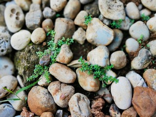 Natural stone floor texture background