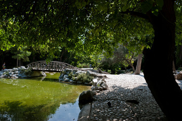 National Gardens, Athens, Greece, May 2020: The pond of the National/Royal gardens during the coronavirus quarantine 