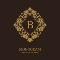 Stylish graceful monogram template, Elegant line art logo design in Art Baroque style, Vector illustration Eps 10