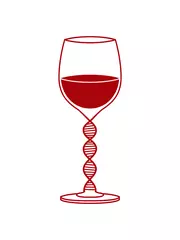 Foto op Plexiglas Gene DNA Wein Design Kultur Clipart Logo  © Style-o-Mat-Design