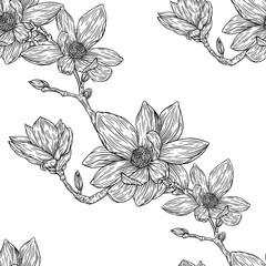 Seamless pattern with outline magnolia flower, ornate buds and leaves on the white background. Elegance floral background in contour style for summer design and coloring book.