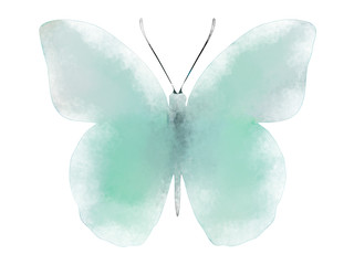 Butterfies and flowers background