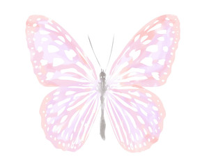 Butterfies and flowers background © montserrat117