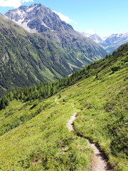 Naklejka premium Pitztal, Ötztaler Alpen, Tirol, Österreich: Wanderweg auf der Neururer Alm