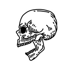 Skull line art illustration.  Hand drawn retro illustration. 