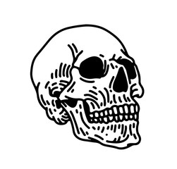 Skull line art illustration.  Hand drawn retro illustration. 
