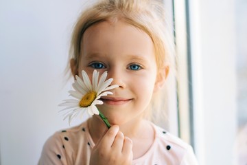 close up portrait of a little girl with flower. Pretty little girl with chamomile. Girl with a beautifull blue eyes.