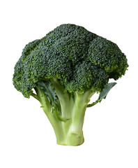 A head of Broccoli isolated on white.