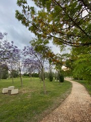 Paisaje con camino que dirige hacia los arboles, bancos de piedra sobre el césped.