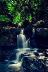 waterfall in the forest