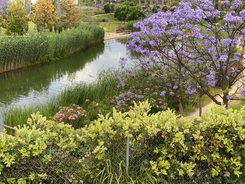 Parque La Marjal, Alicante, Spain