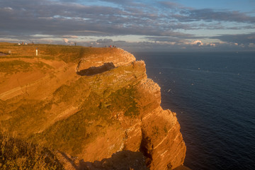 Klippenrandweg im Abendlicht , Helgoland