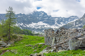 Fototapeta na wymiar Alpine landscape in Gran Paradiso National Park, Piedmont Italy