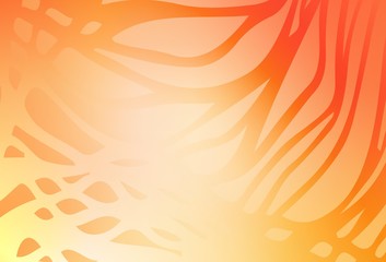 Light Orange vector abstract bright texture.