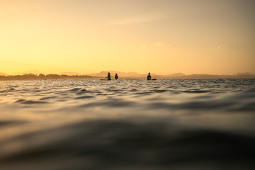 Surfing at sunset, Byron Bay Australia