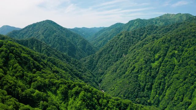 新緑の白神山地空撮