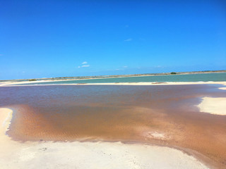 Las Coloradas, Rio Lagartos