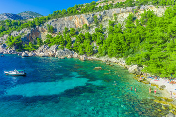 Fototapeta na wymiar Crystalline water of Malo Zarace Beach, Hvar Island, Croatia