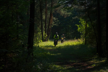 Sportsmen on motorcycles on a forest track, rear view.