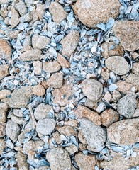 stone wall background