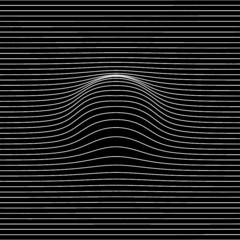 MINIMAL DISTORTED AND WARPED LINES