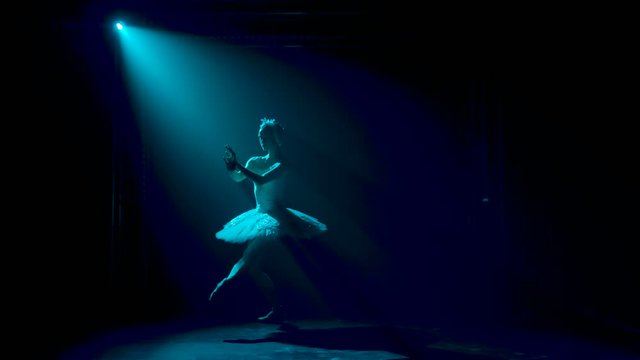 Silhouette of a graceful ballerina in a chic image of a white swan. Classical ballet choreography. Shot in a dark studio with smoke and neon lighting. Slow motion.