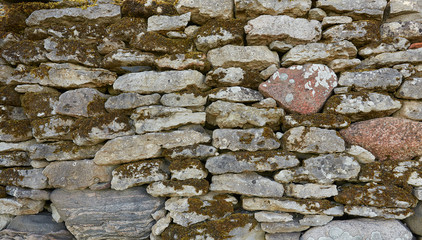 moss growing on stone wall