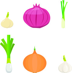 set of onion vegetable