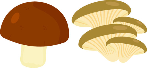 set of mushroom 