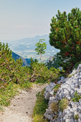 Fototapeta na wymiar Schmaler Wanderweg im Hochgebirge, in den bayerischen Alpen.