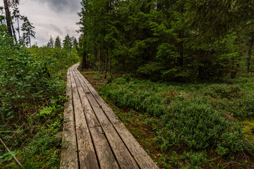 Nature reserve Wilhelmsdorf Pfrunger Ried in Upper Swabia