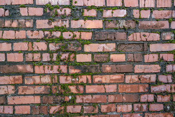 Old wall of red crumbling brick, overgrown with green moss