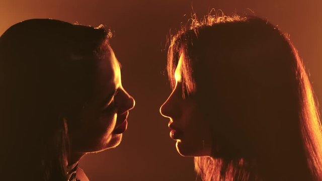 Two girls in erotic leather lingerie caress each other. Young hot brunettes with long hair. Shot in a dark studio with neon lighting. Close up. Slow motion.