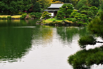 清澄庭園で羽を休める野鳥たち