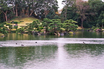 雨が降る秋の清澄庭園