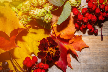 Autumn composition of leaves and berries on a light wooden background.