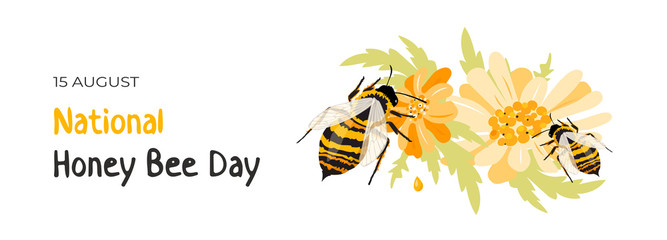 National Honey Bee Day. Western honey bees pollinating a daisy flower and extracts nectar. Poster, banner or greeting card to recognize bee's contribution to humans' everyday lives. Isolated on white. © Margarita