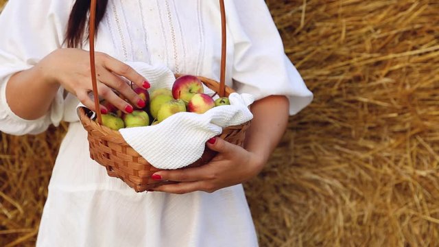 Young women outdoor hold basket with apples and pears in her hands. Harvesting in village in sumer or autumn. Healthy food