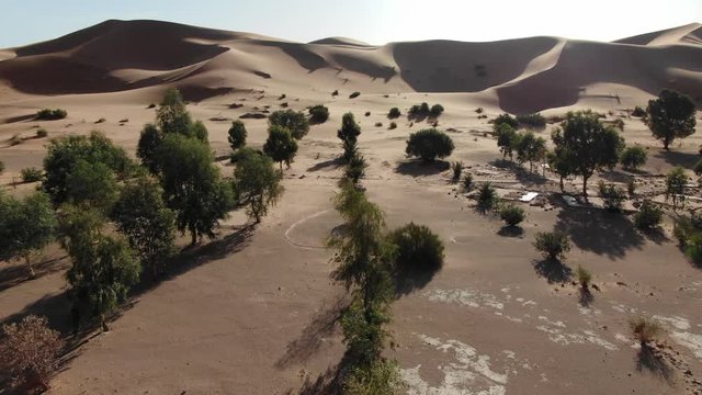 Drone perspective of vegetation in desert of Morocco. Aerial view