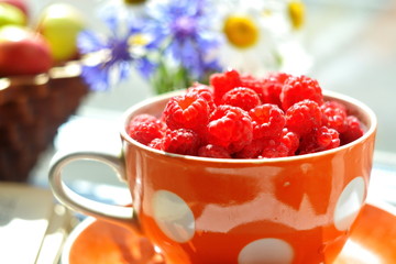 full ceramic colored teaCup of raspberries on saucer close up on blurry background of flowers and basket of apples. Beautiful summer berries wallpaper