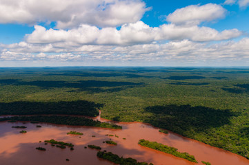 Panoramic river in the jungle