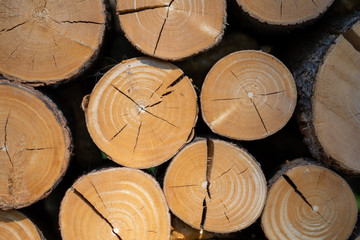 Background of dry cracked pine logs stacked up on top of each other in a pile