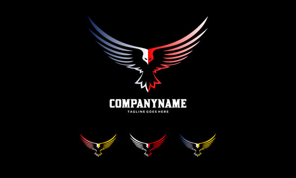 Bird Creative Logo - Eagle Fly Vector - Hawk Wings Icon Template