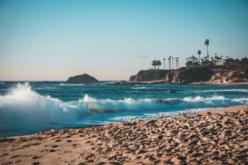 Fun In The Sun Laguna Beach © Andrew