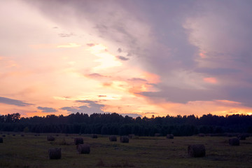 sunset over the field