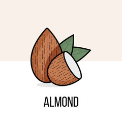 Almond nut with leaves. Vector flat illustration. Natural organic plant. Useful product.
